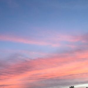 Meet your Posher, Mackenzie